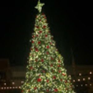 Meet your Posher, Michaela